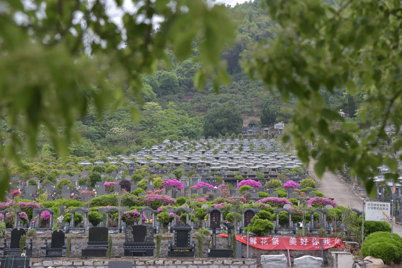 北仑区殡葬墓地公司,墓地