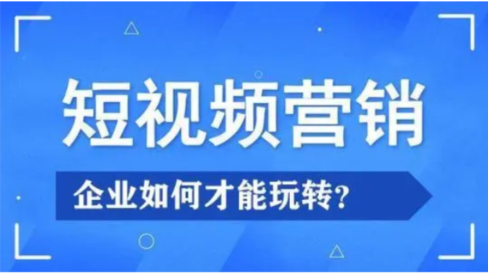 石家庄行业网络推广seo优化,网络推广