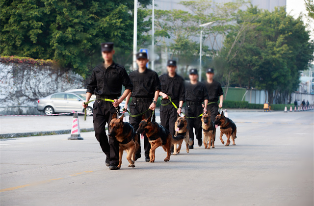 东莞企业保安外包派遣,保安外包